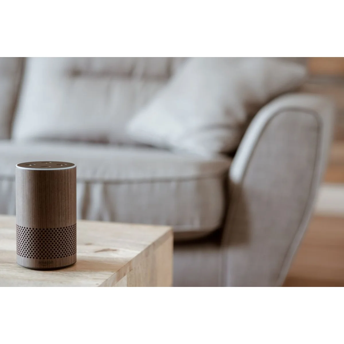 Voice Communication Control System